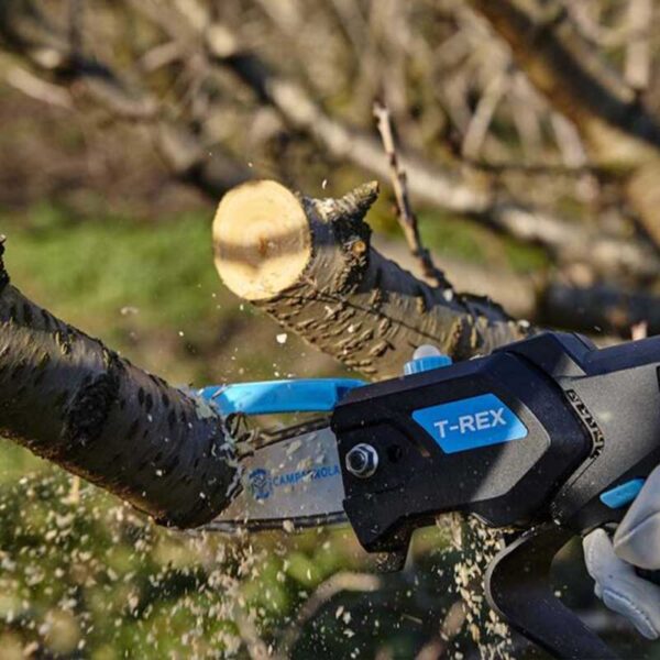 Potatore elettrico T-REX